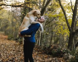 dogs7.jpg