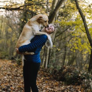 dogs7.jpg